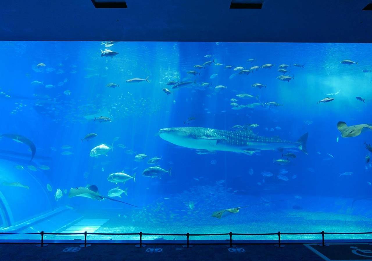 Hotel Mahaina Wellness Resorts Okinawa מראה חיצוני תמונה